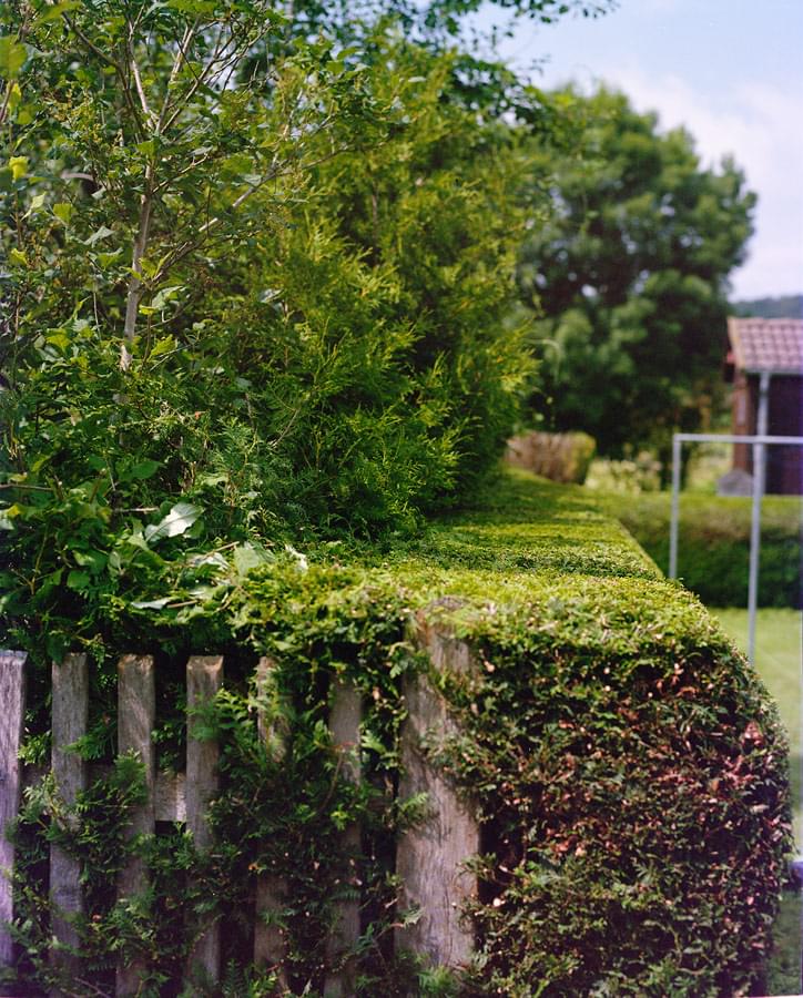 Grüsselbach Life - 