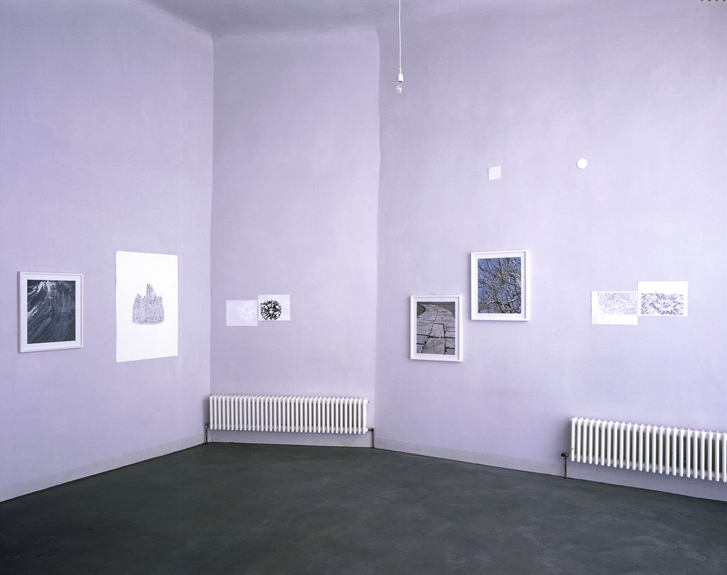 nature morte - &raquo;god only knows&laquo;